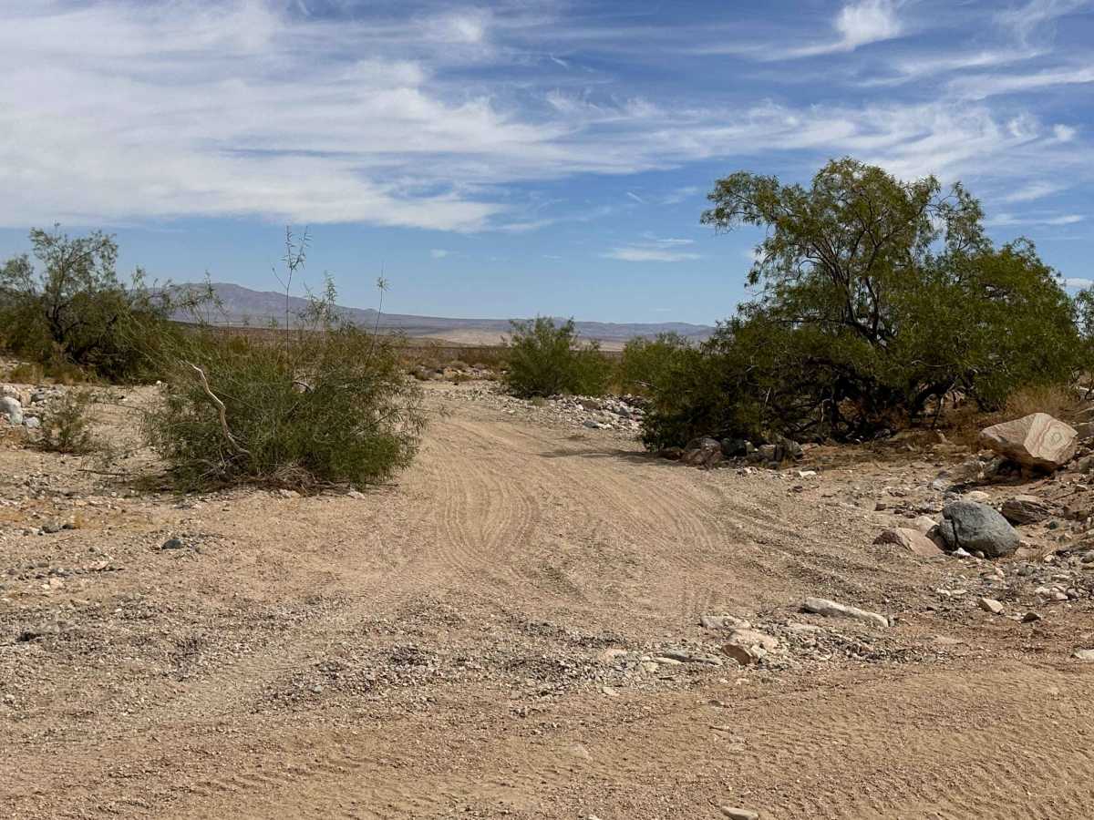 Buckhorn Trail photo 6