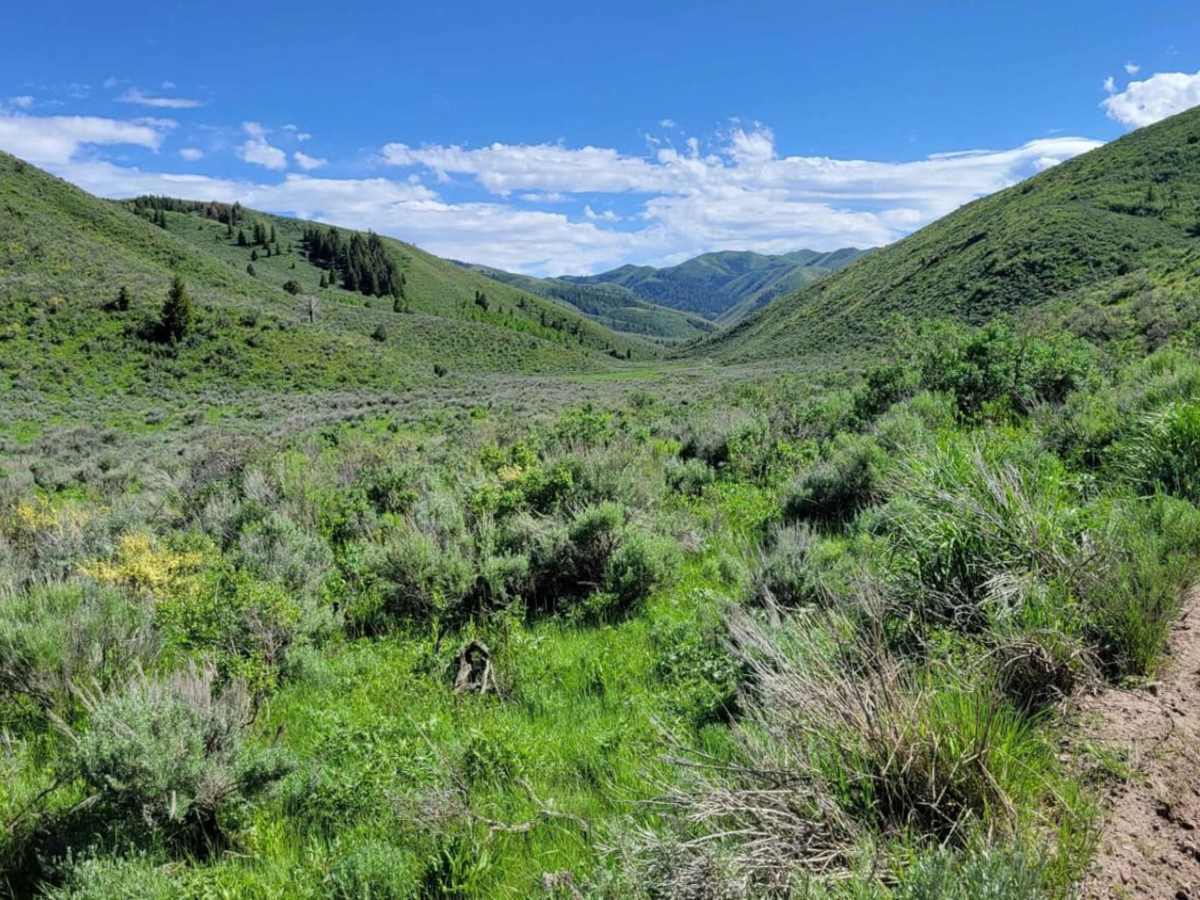 Heglar Canyon trail photo