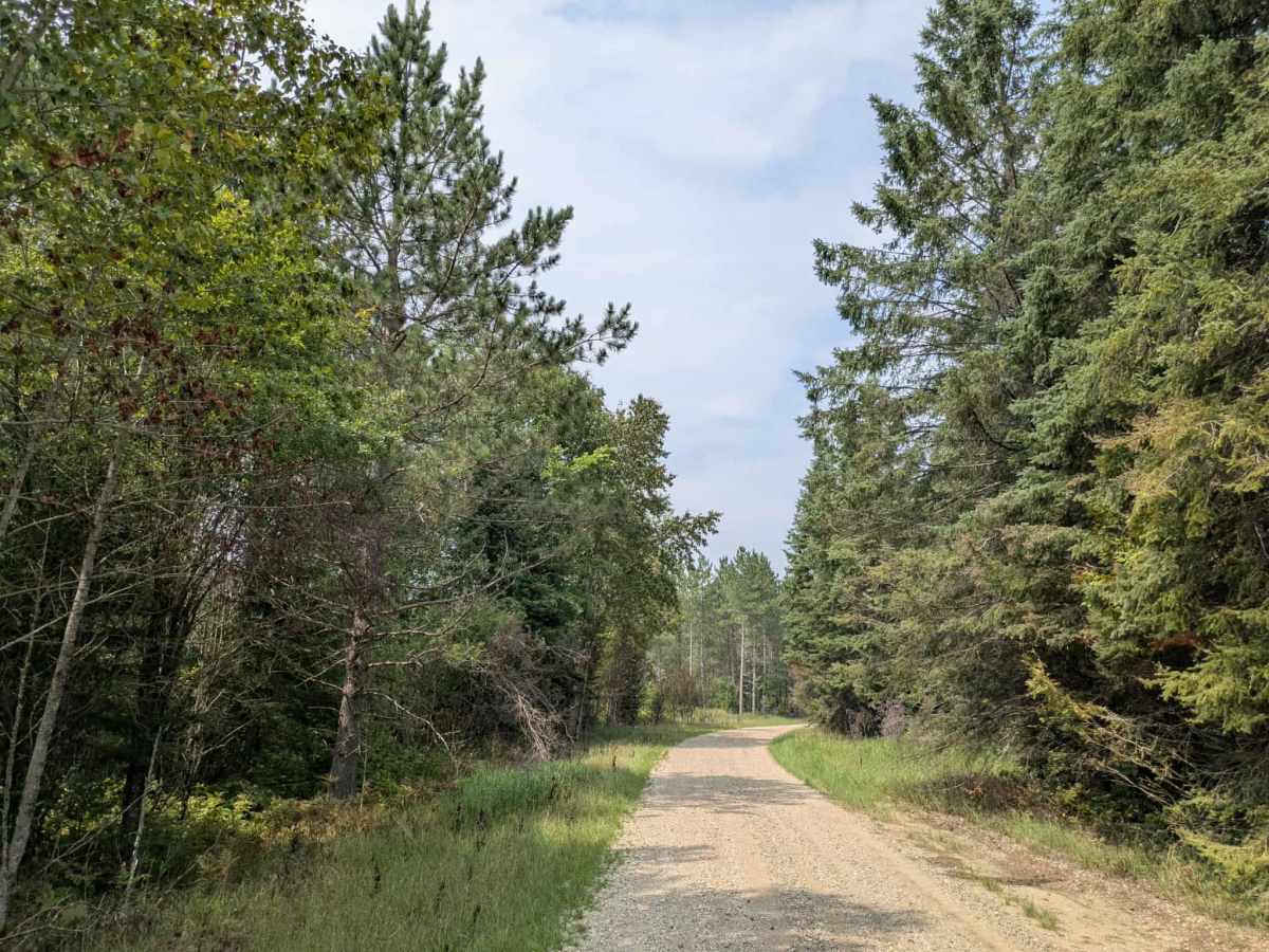 Sheep Ranch Road trail photo