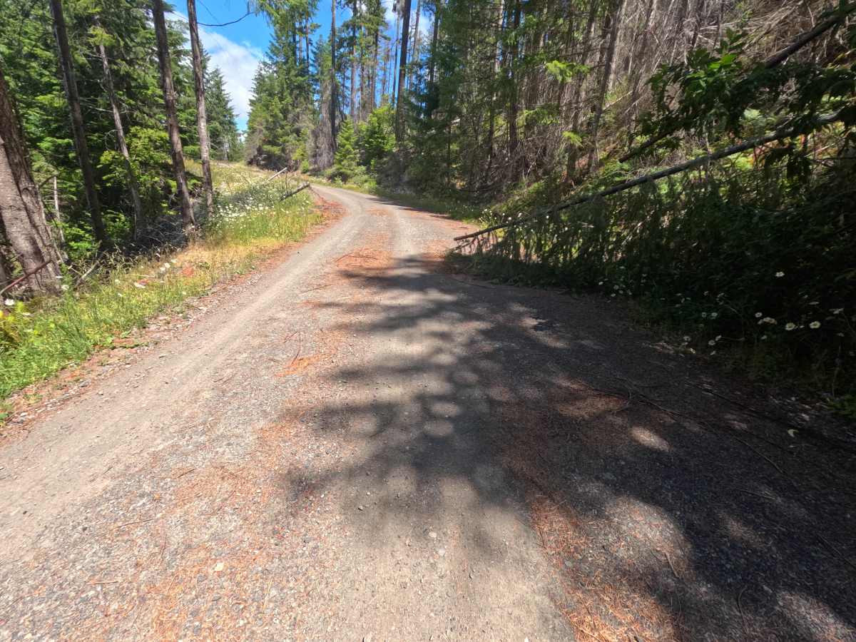Bluff - FS 4612000 photo 6