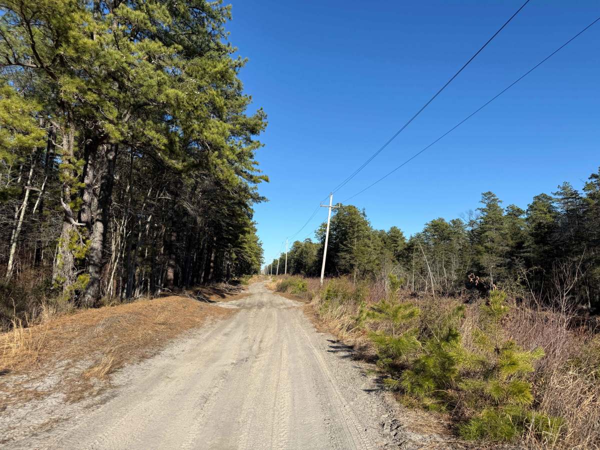 Railroad Prerunner Trail photo 4