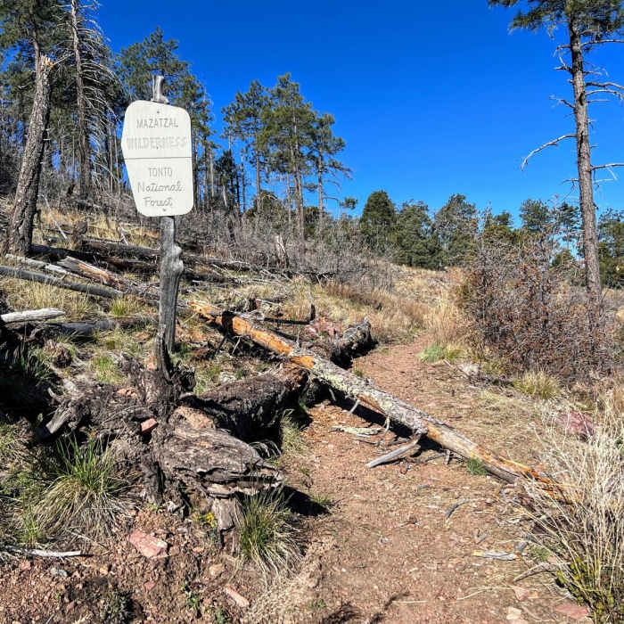 Near Mazatzal Divide Trail #23