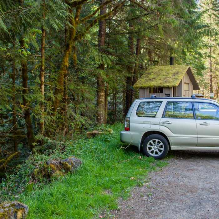 Near Brice Creek Trail, Champion Creek Trailhead to Lund Campground Hike