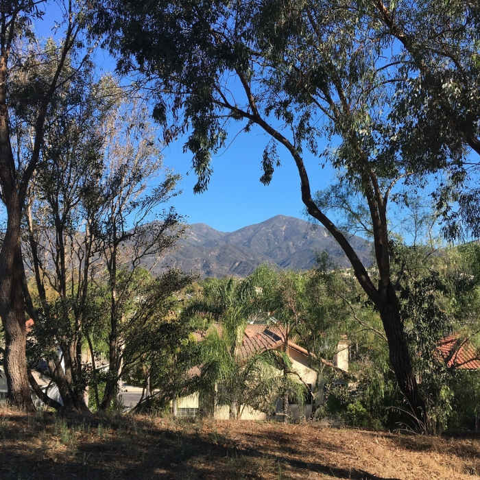 View of Santiago Peak. Near Bell View Trail