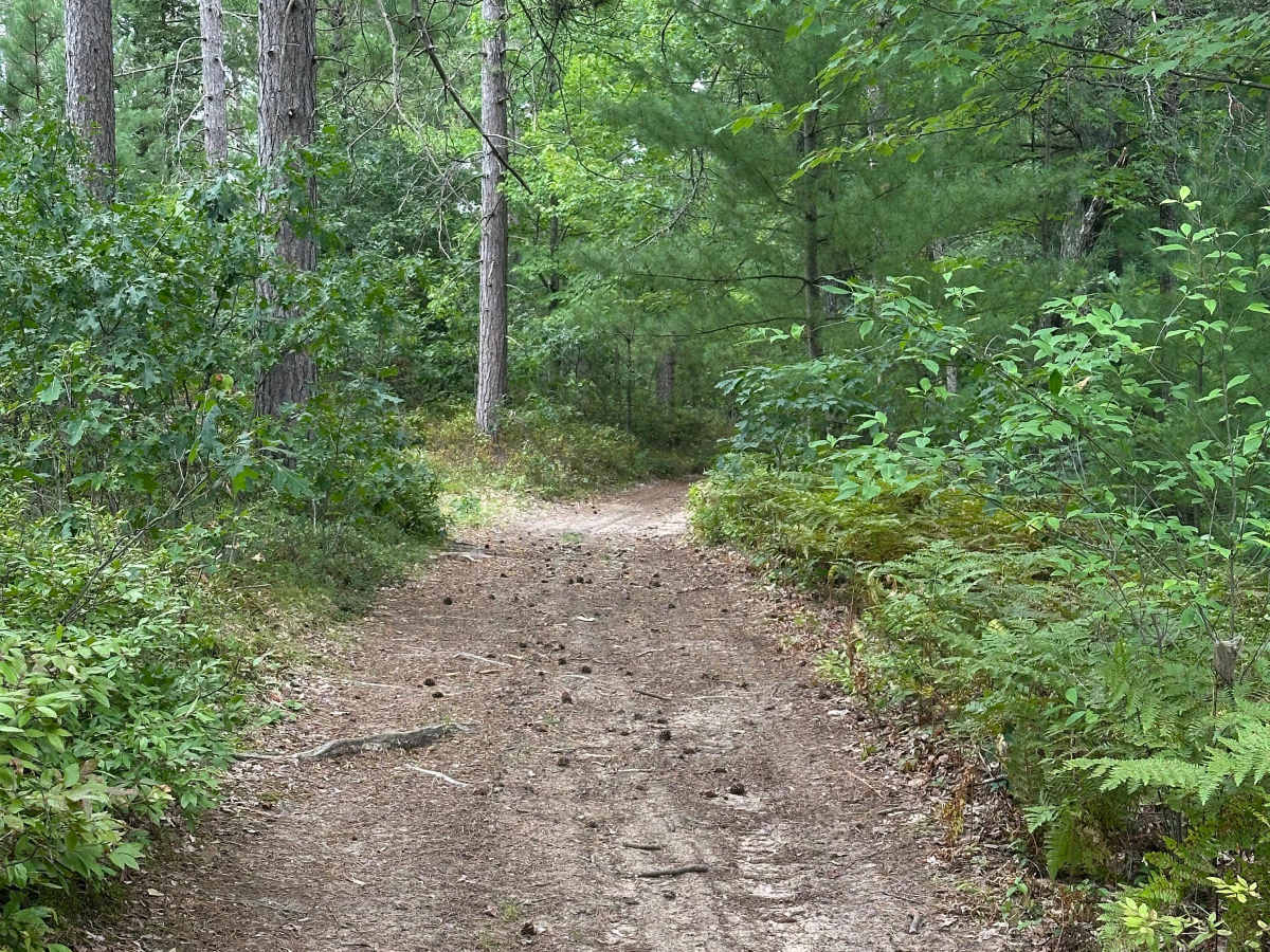 Muskegon Road Cutover  photo 3