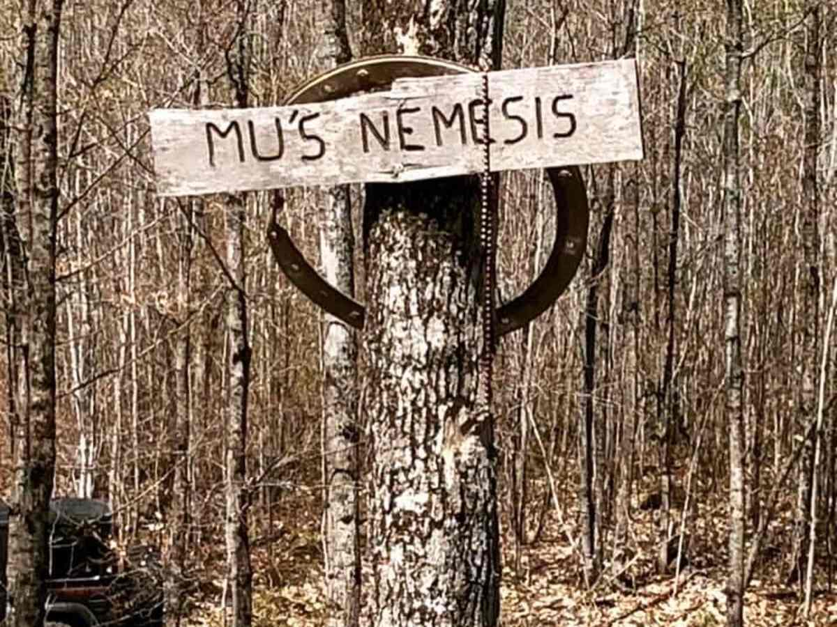 Mu's Nemesis/Halfrish Hill photo 4