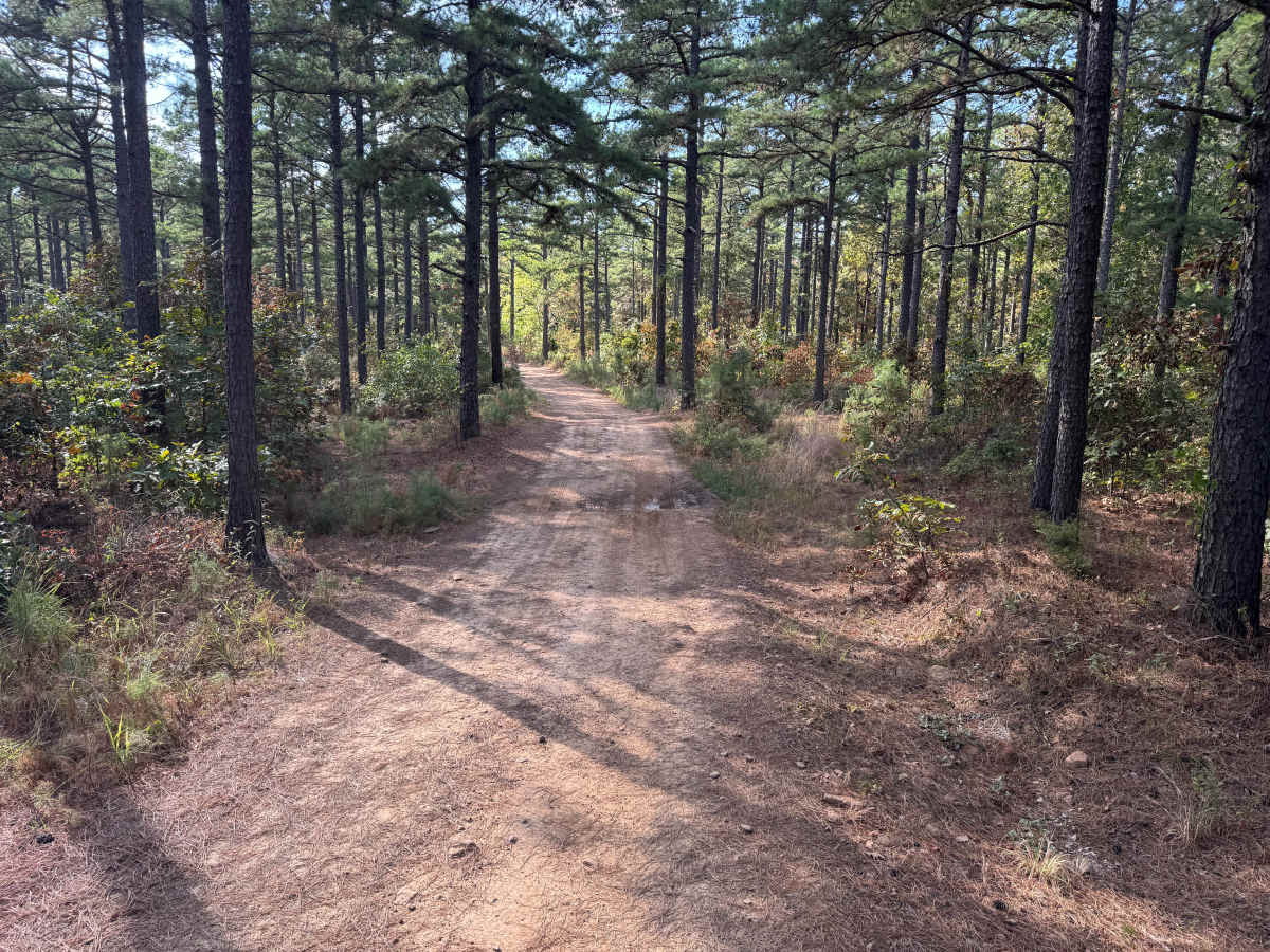 Huckleberry Pond photo 4