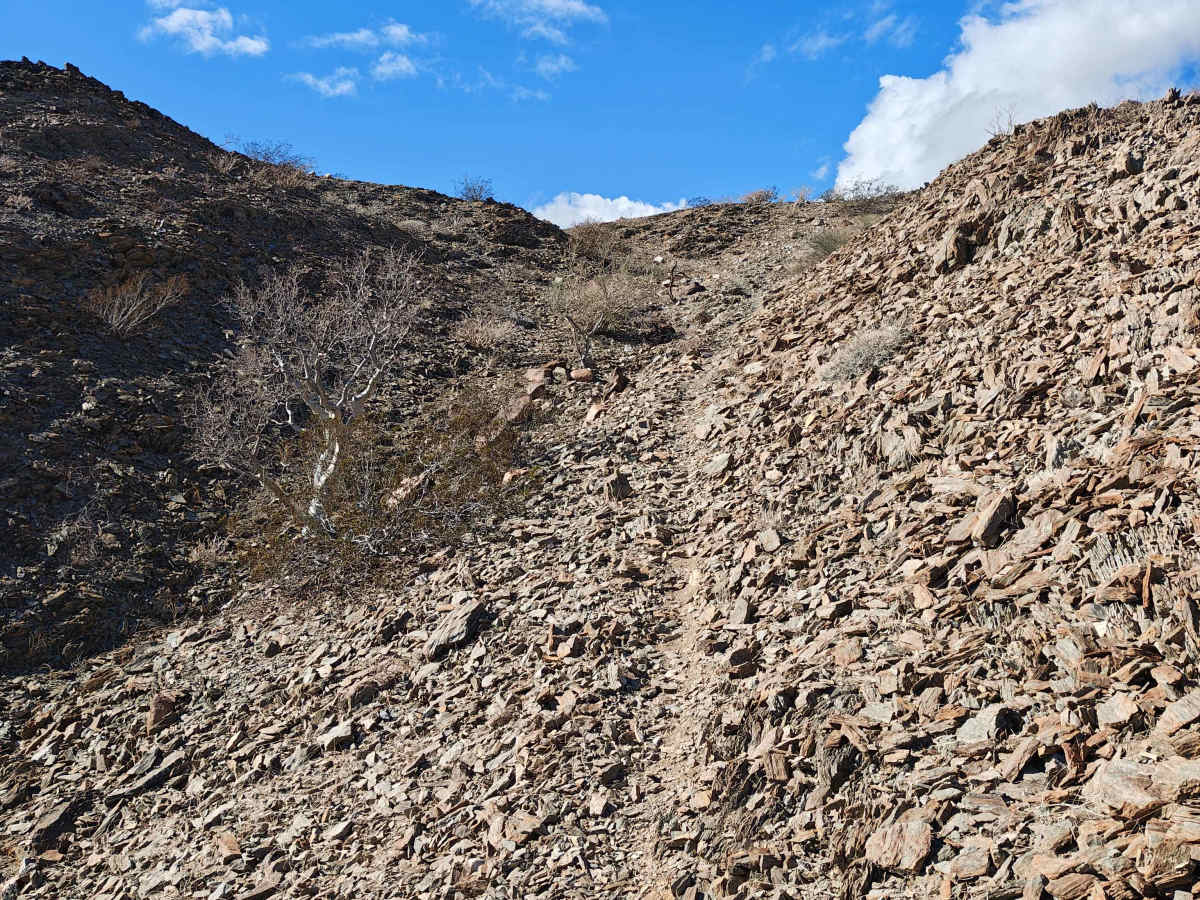 La Gringa Fun Loop - Single Track photo 3