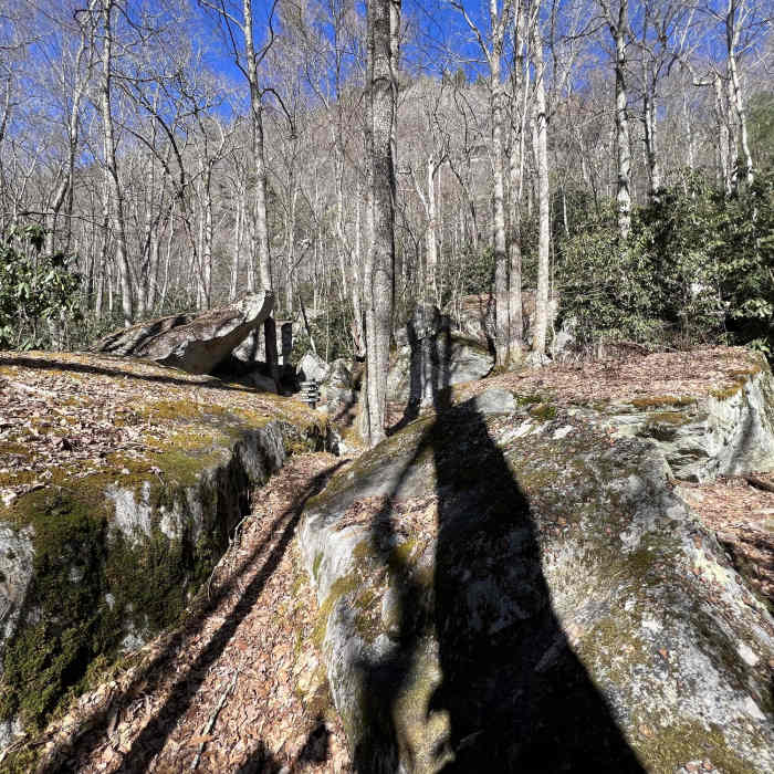 Near Flatlander's Loop