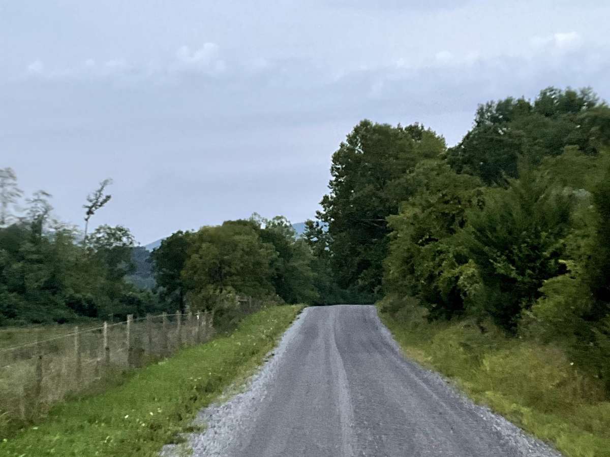 McDaniel Drive photo 5