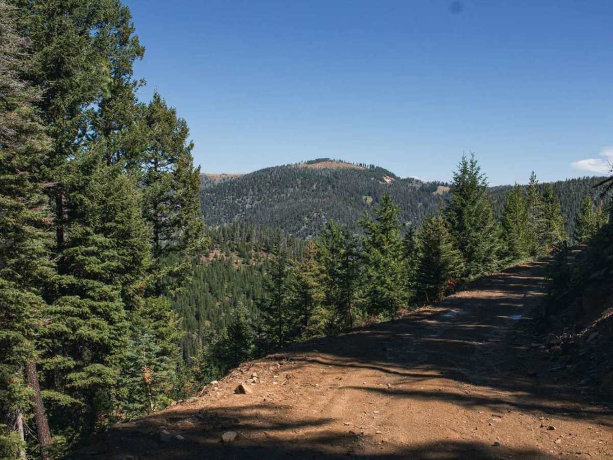 Bison Mountain trail photo