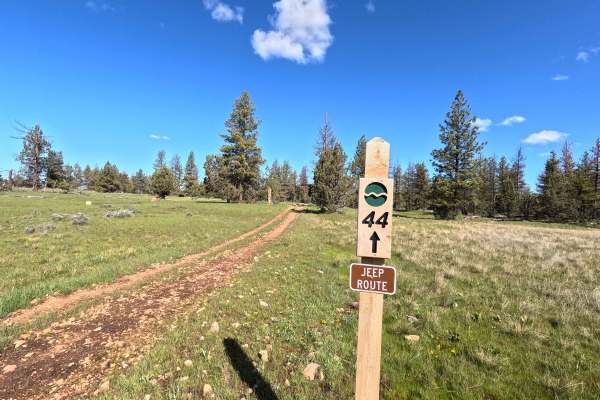 Trail 44