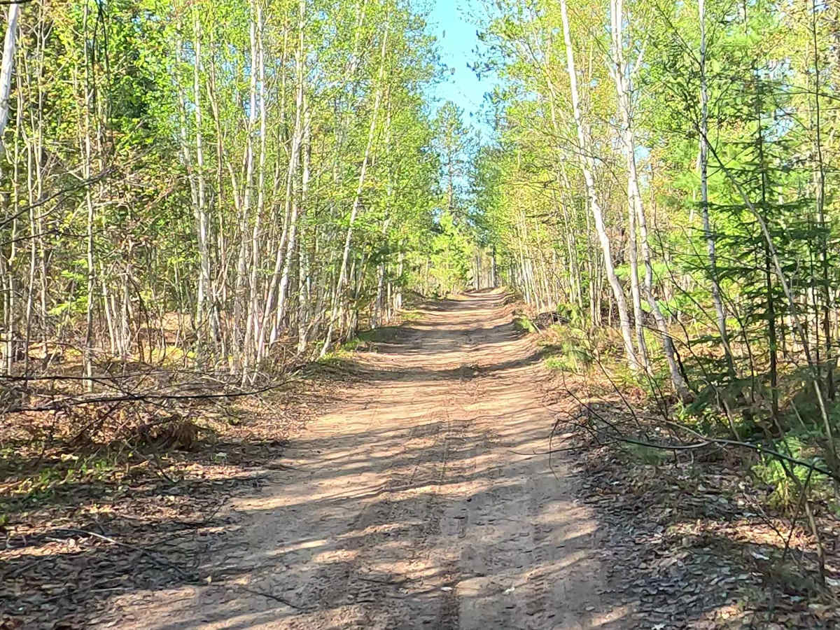 North McBryd Road photo 2