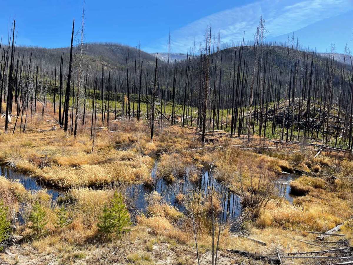 Horse Creek trail photo