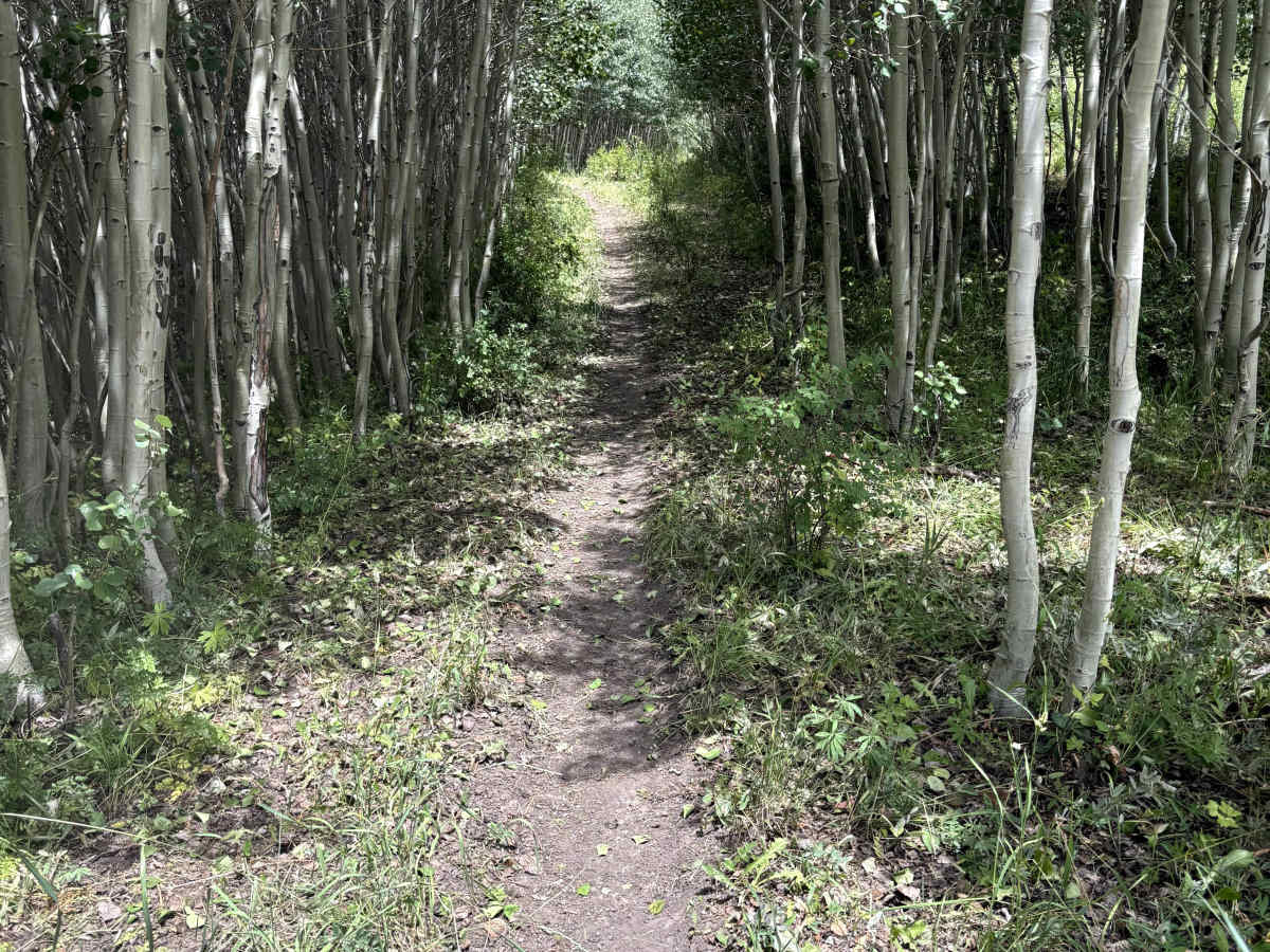 Powerline Trail photo 2