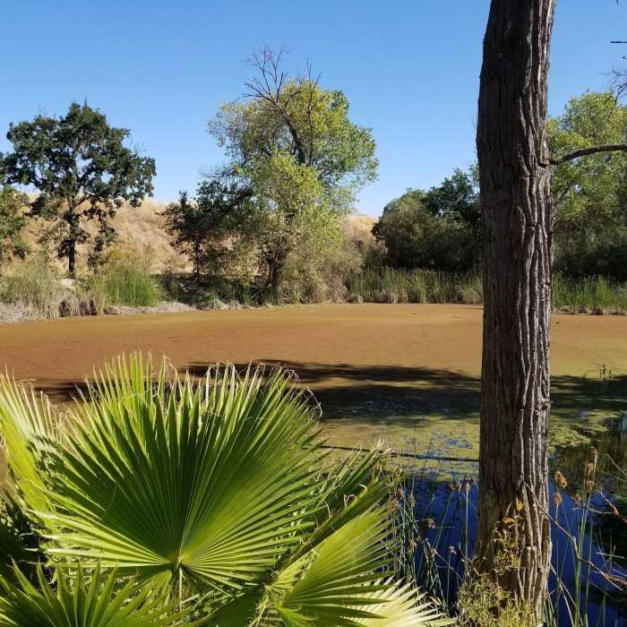 Near North Arroyo Trail