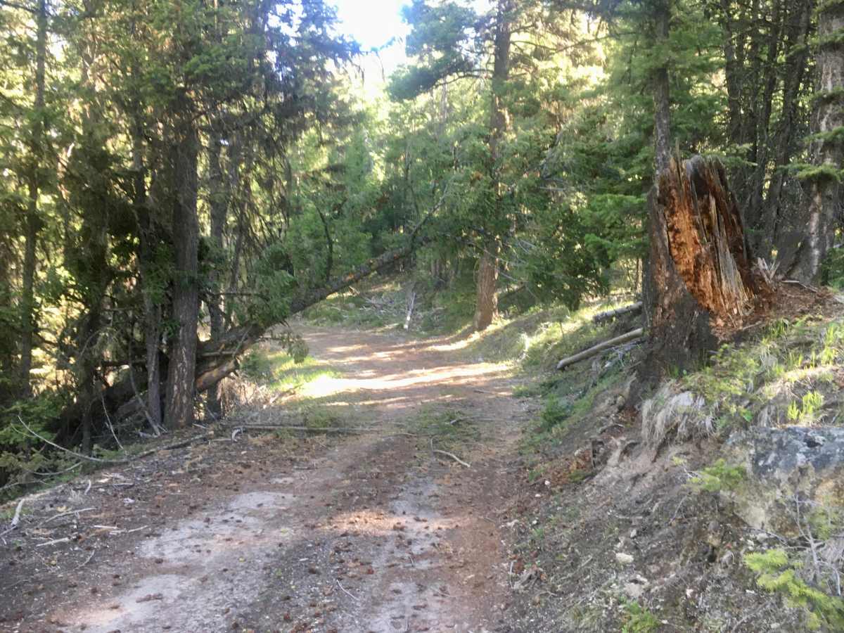Head of Cat House trail photo