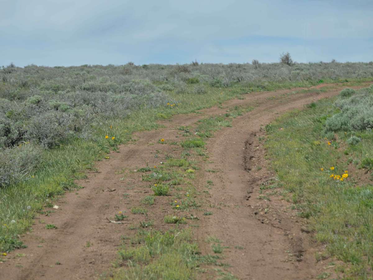 Little Brush Creek - FS 10052 photo 5