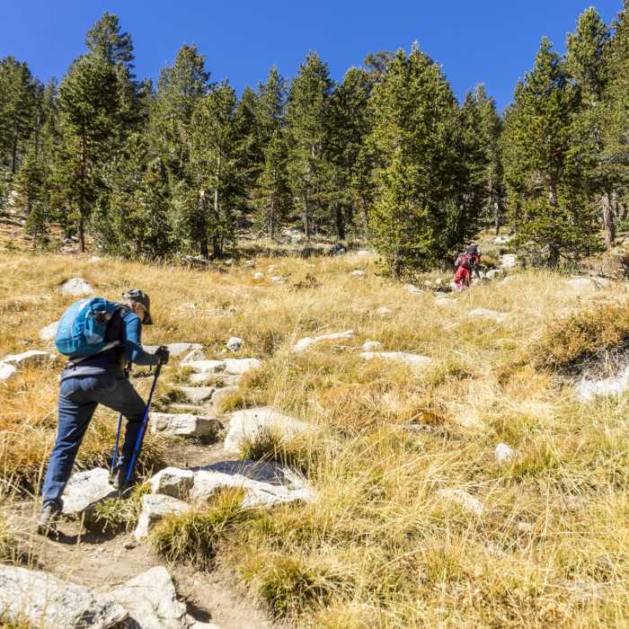Near Gaylor Lakes Basin