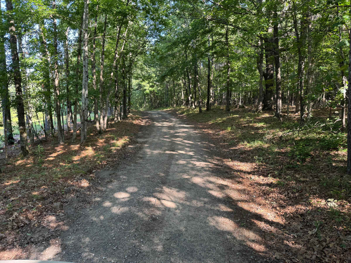 County Road 1465 photo 5