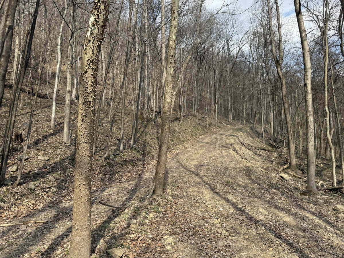 Q24 trail photo