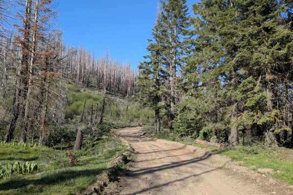 Mule Peak South - FS 22S03