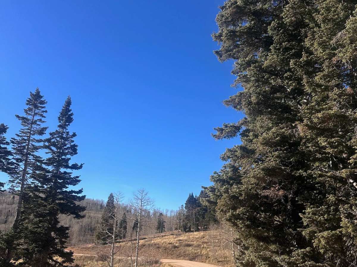 Webster Flat  trail photo