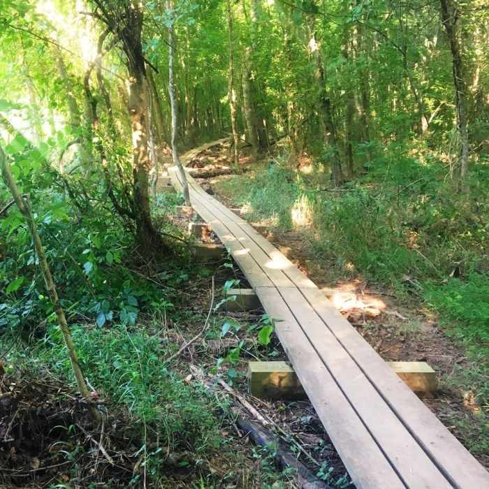 Near Cedarock Park Tour