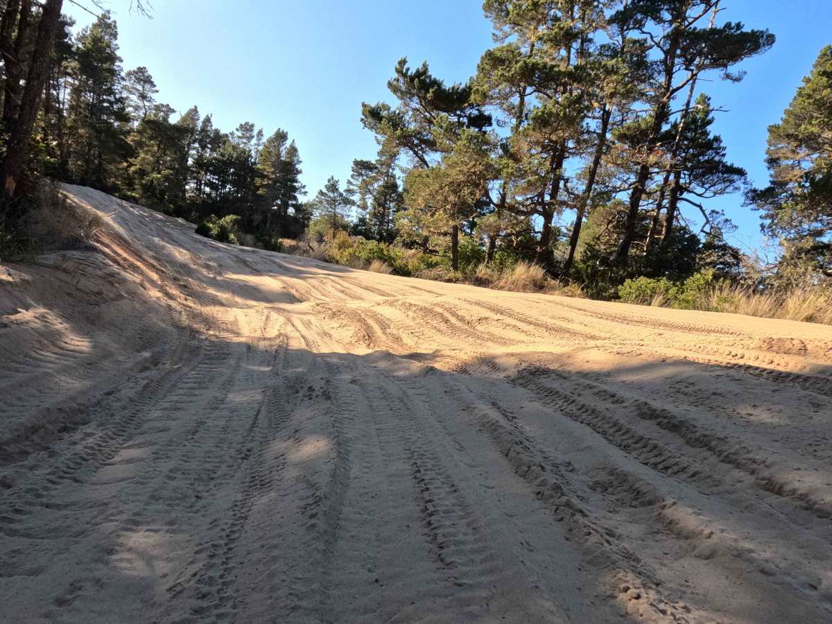 Hauser OHV Trail - 1341 photo 6
