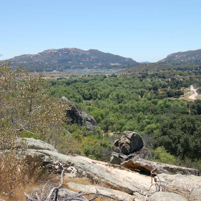 Near Campo to Cottonwood Creek (PCT)