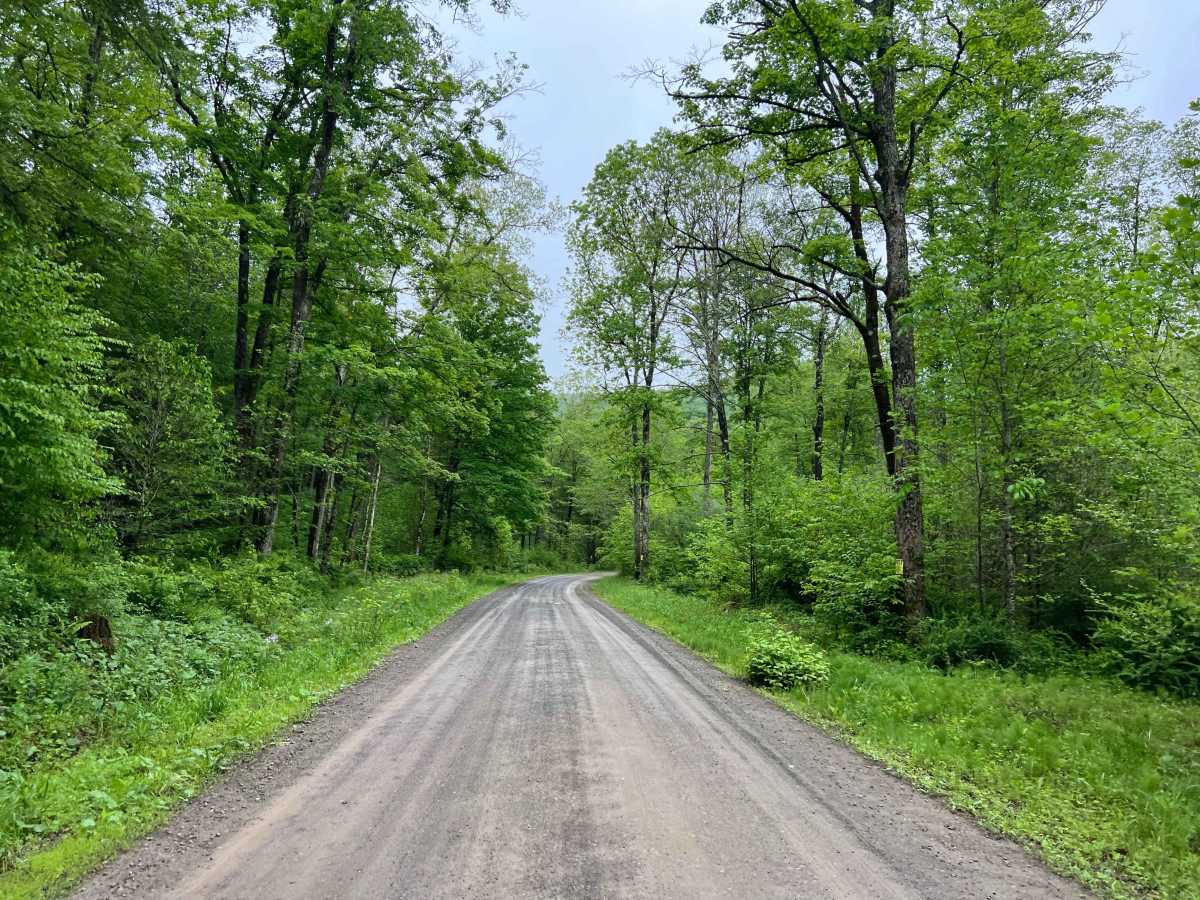 Ogdonia Road photo 3