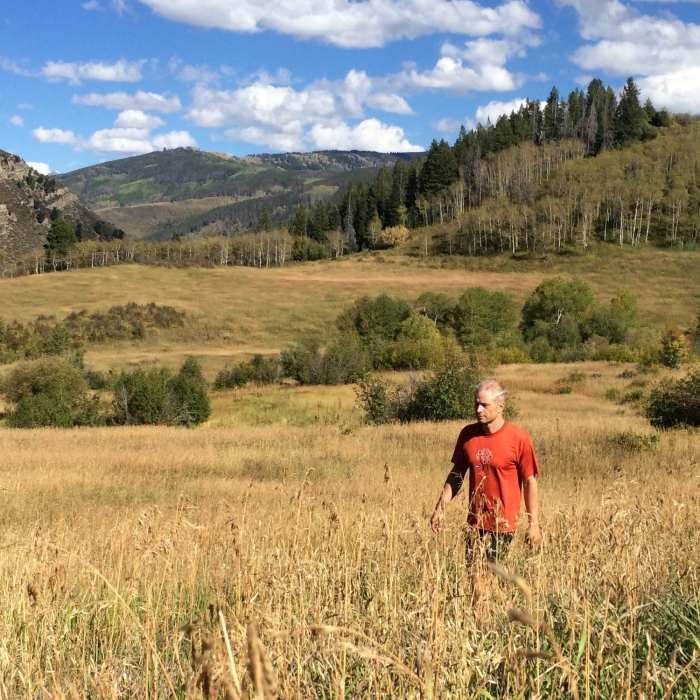 Near Whiskey Creek