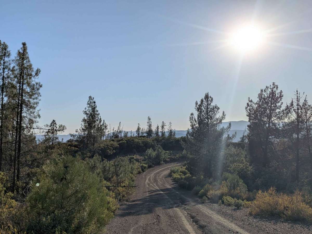 Ponderosa Way North - FS 3S02 trail photo