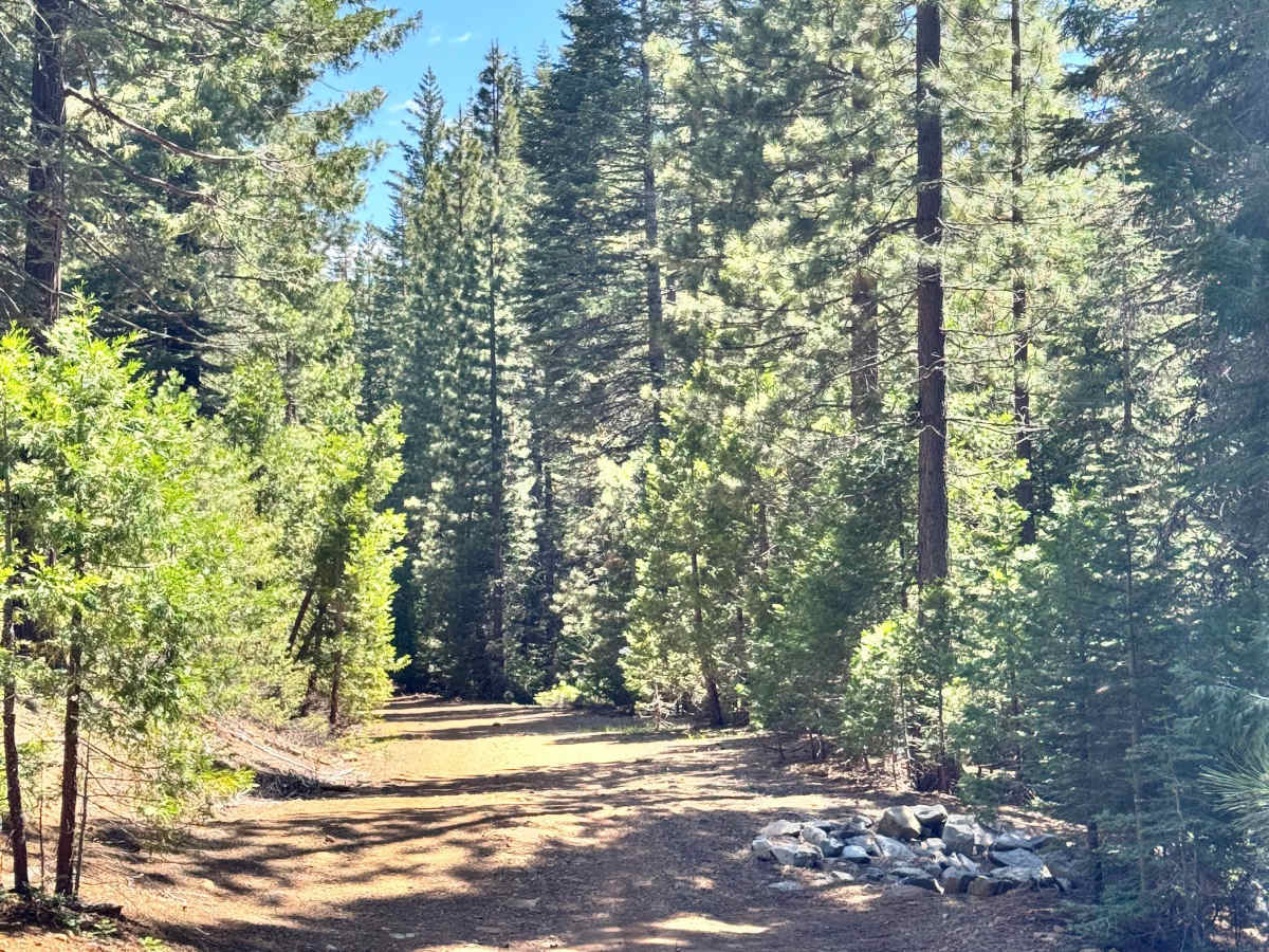 Willow Creek - FS 26N07 photo 4