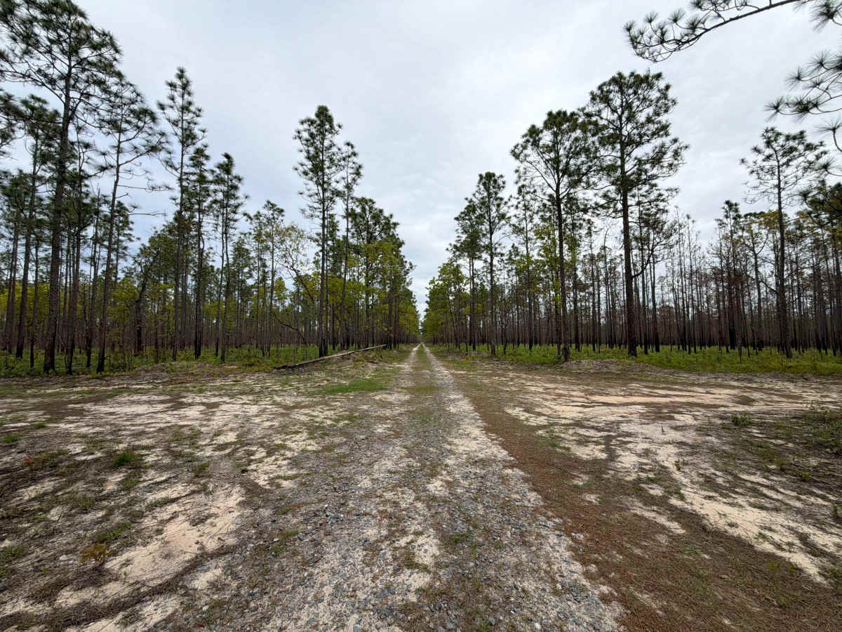 J 57 trail photo