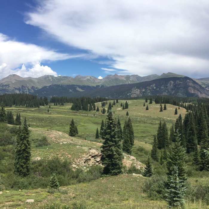 Near Elk Creek Trail #503 (via Molas Pass)