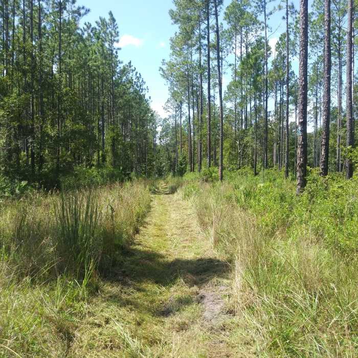 Near Homesteaders Hollow Trail