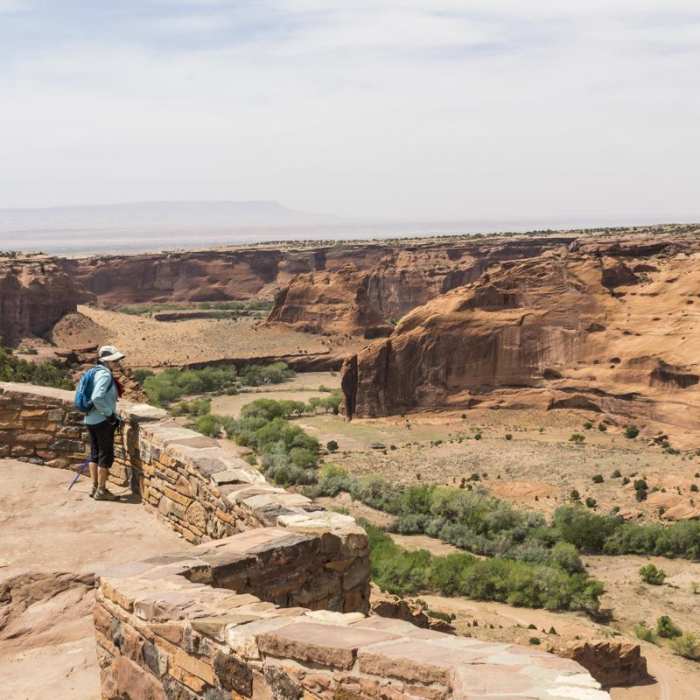 Near White House Ruins Trail