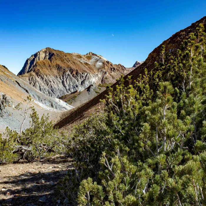 The west side of Mount Morrison viewed from below the saddle between Laurel Mountain (left) and Bloody Mountain (right). Near Laurel Lakes - Edith Lake Trail