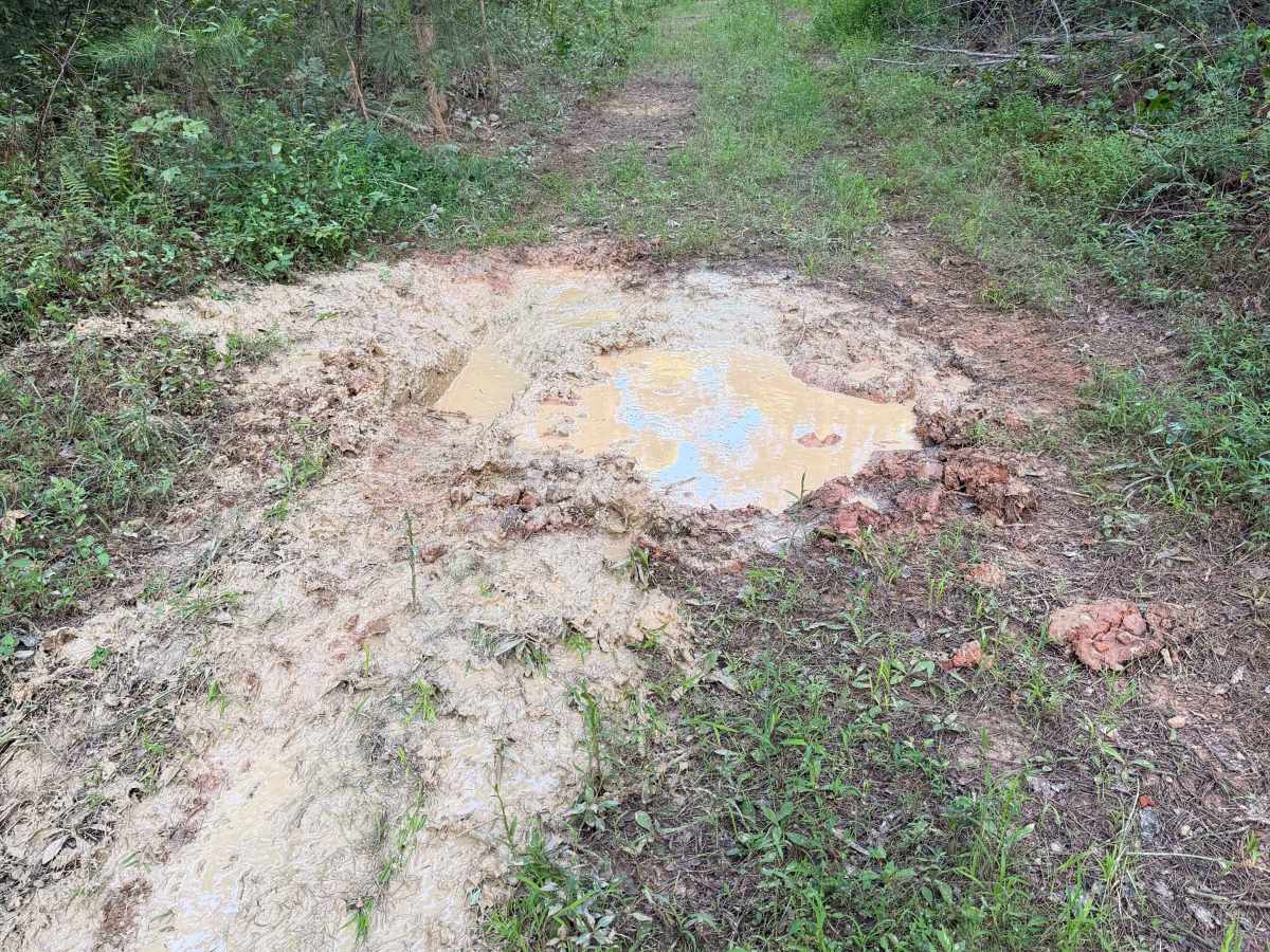 Mud Season photo 5