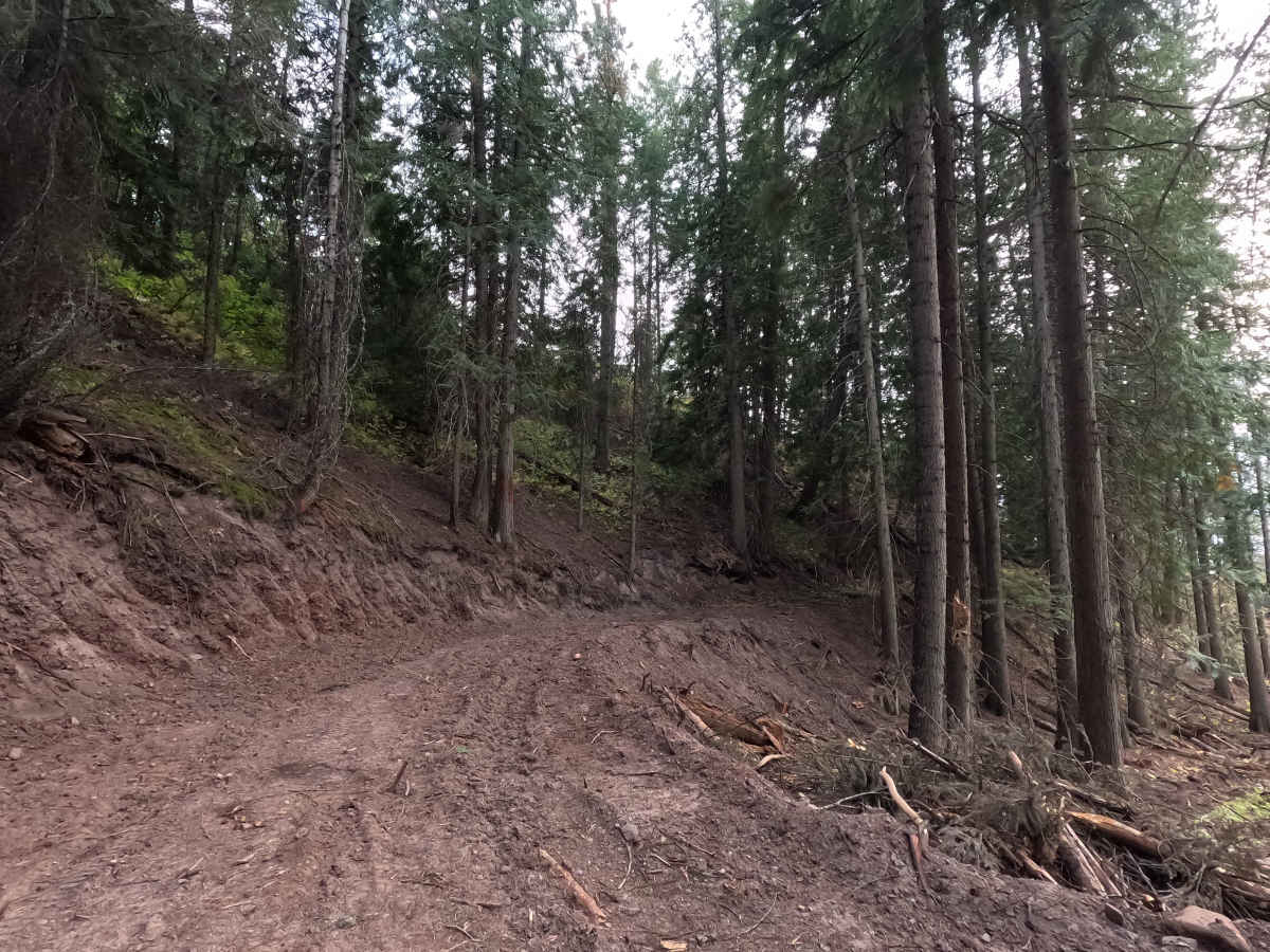 Half Moon Creek photo 6