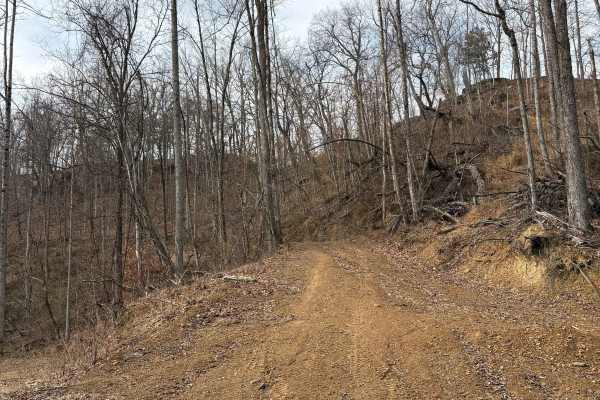 Trail 11