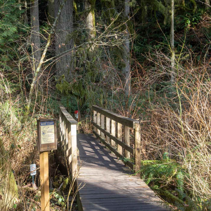 Near Falls Loop Trail