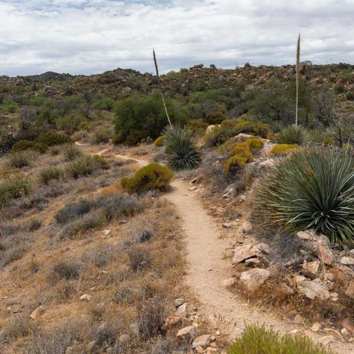 Near Granite Overlook Loop