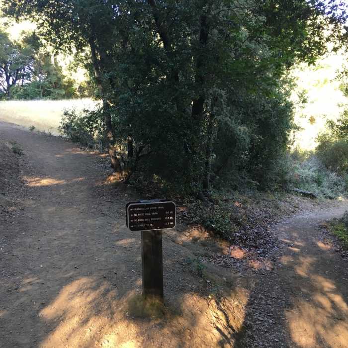 Near Franciscan Loop Trail