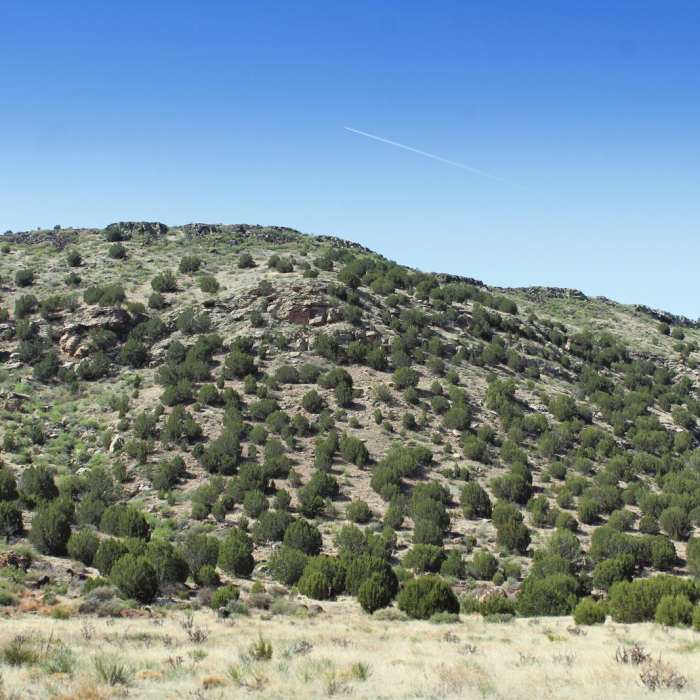 Near Black Mesa Nature Preserve