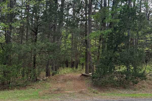 Boney Mountain Trail
