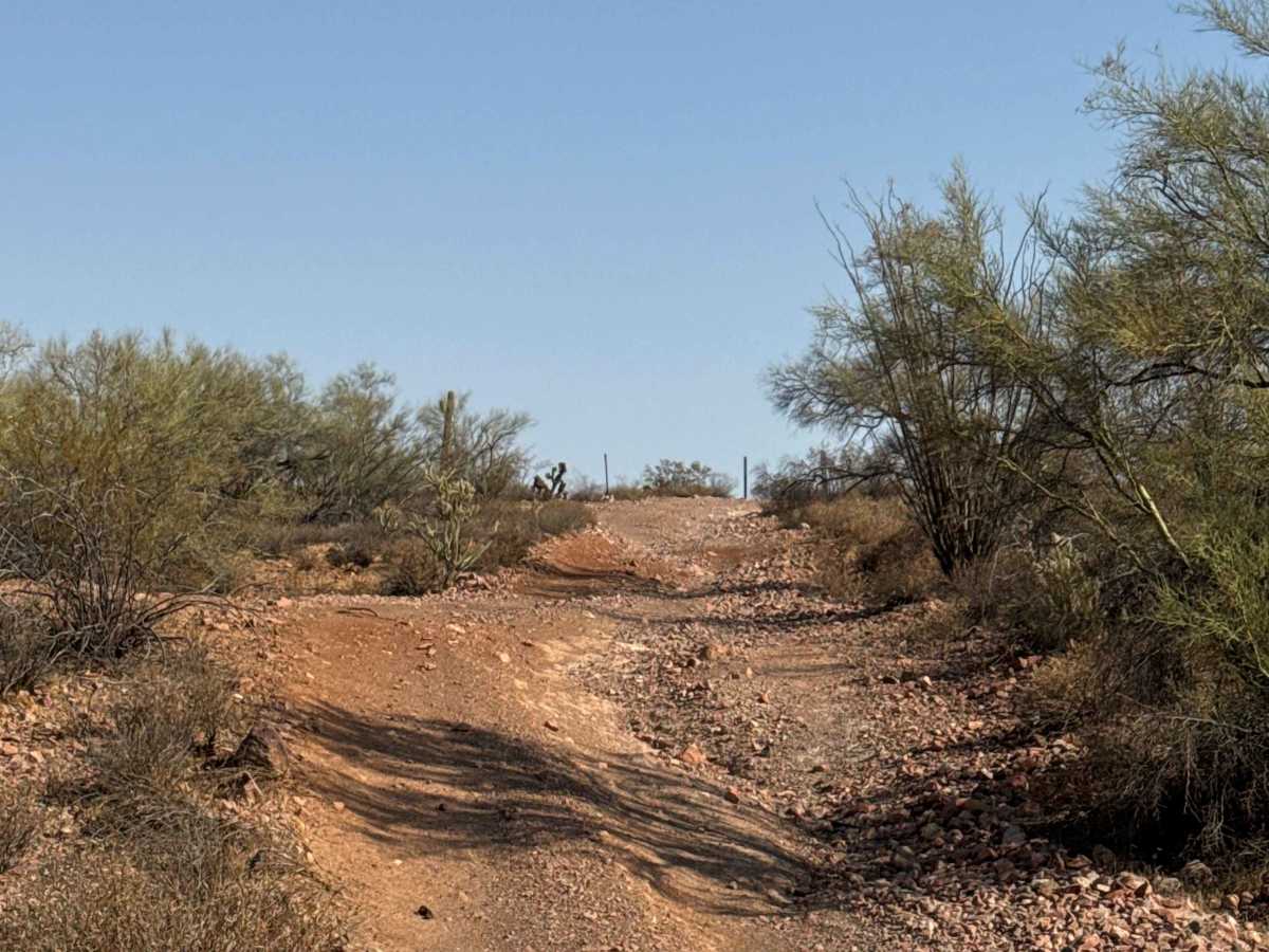 BLM 38064 photo 4