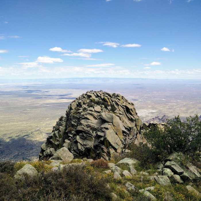 Near Organ Needle Trail