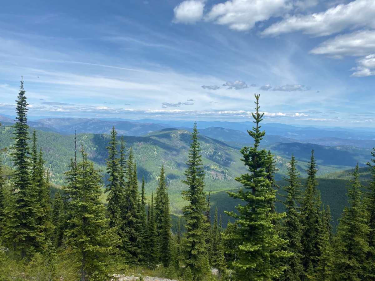 Mack King Trail photo 4